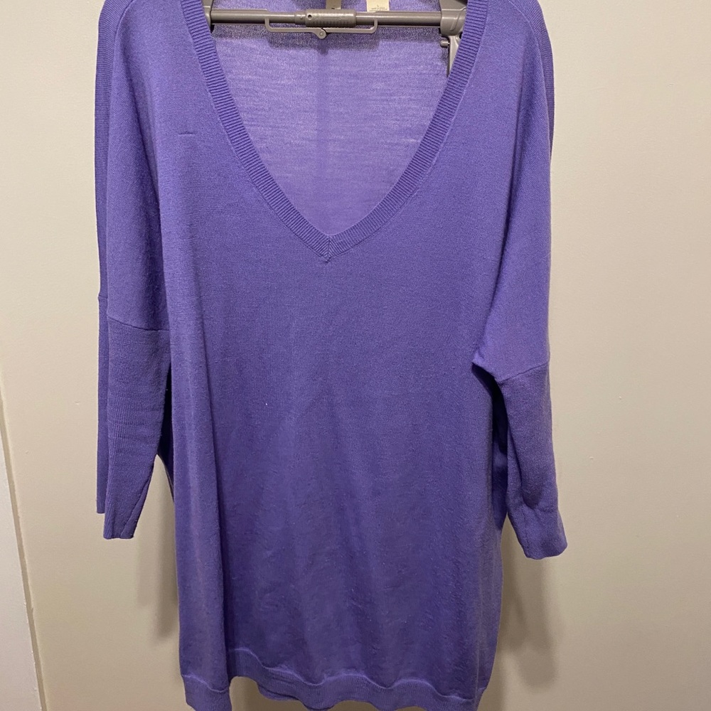 Anthropologie moth v-neck merino wool tunic